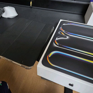 아이패드 프로 11인치 M4 256GB 셀룰러 스페이스 그레이