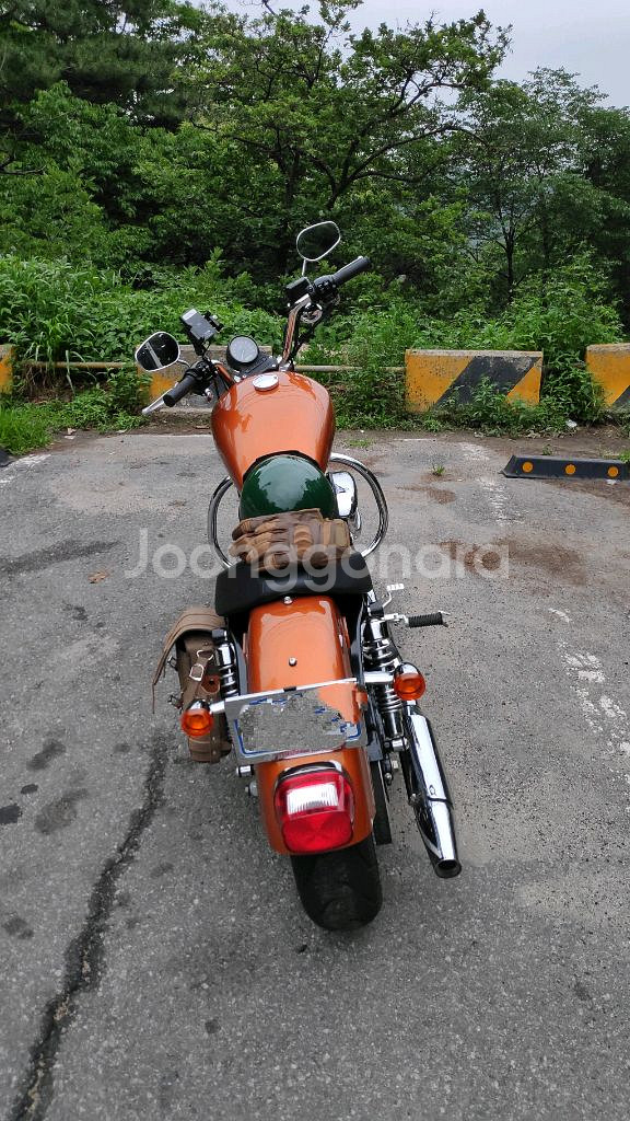 할리데이비슨 스포스터 XL883L 2014년식 ABS--3