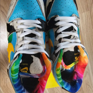 나이키 덩크 sb 청키덩키 255 사이즈