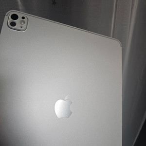 아이패드 프로 M4 13 512GB 셀룰러