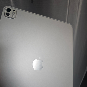 아이패드 프로 M4 13 512GB 셀룰러