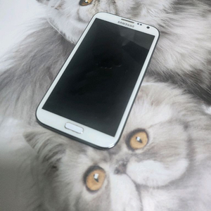 삼성 갤럭시 노트2