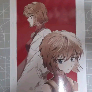 명탐정 코난 하이바라 아이 프박 판매