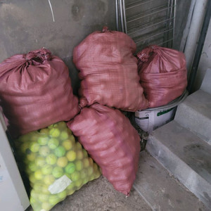 테니스볼 400개 대량 세트