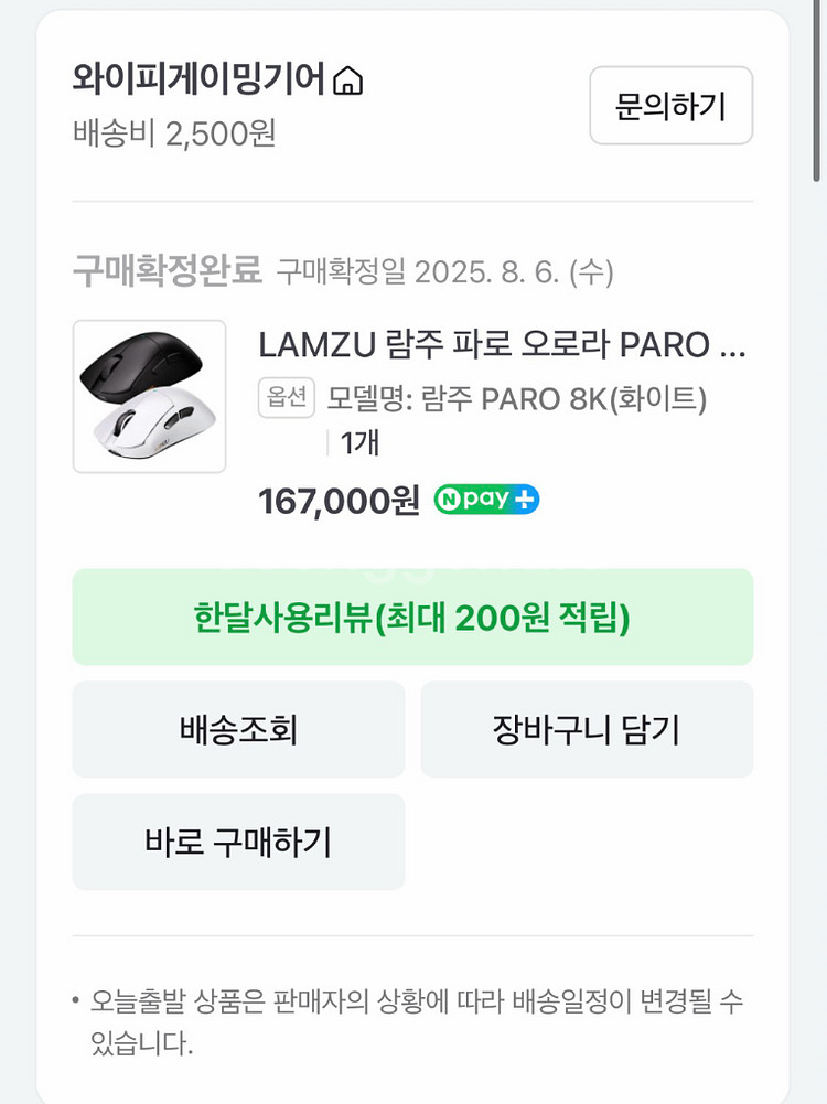 람주 파로 오로라 비대칭 마우스--5