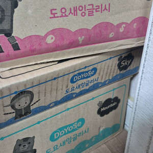 도요새 잉글리시 영어 학습 교재 3세트