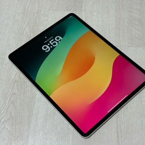 (배터리94) 아이패드 프로 12.9 4세대 256g