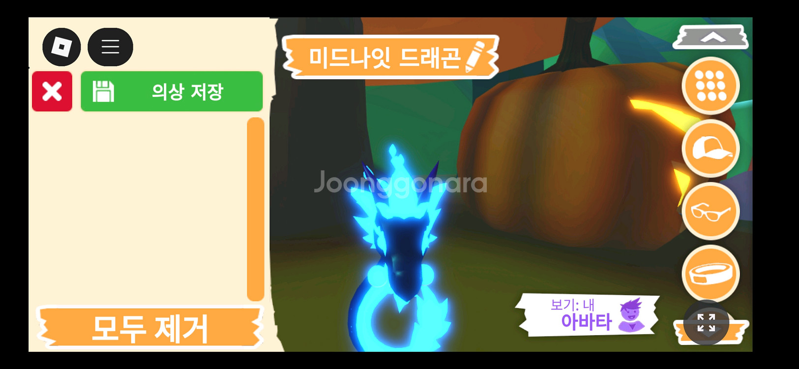 입양하세요 펫 메가네온 미드나잇 드래곤 판매합니다--0