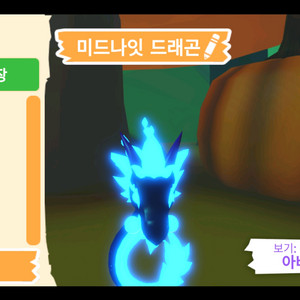 입양하세요 펫 메가네온 미드나잇 드래곤 판매합니다