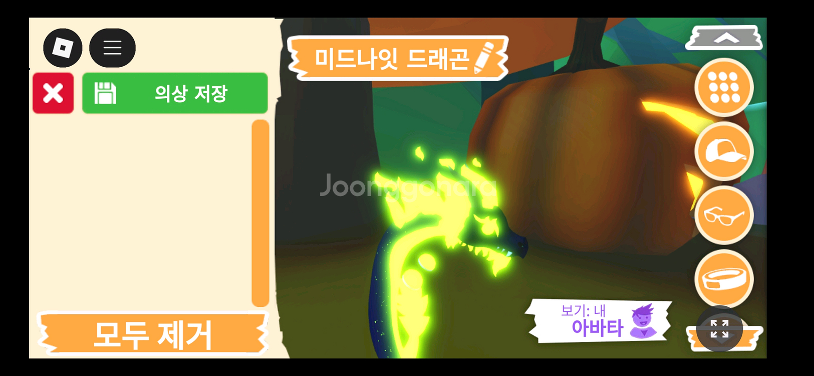 입양하세요 펫 메가네온 미드나잇 드래곤 판매합니다--3