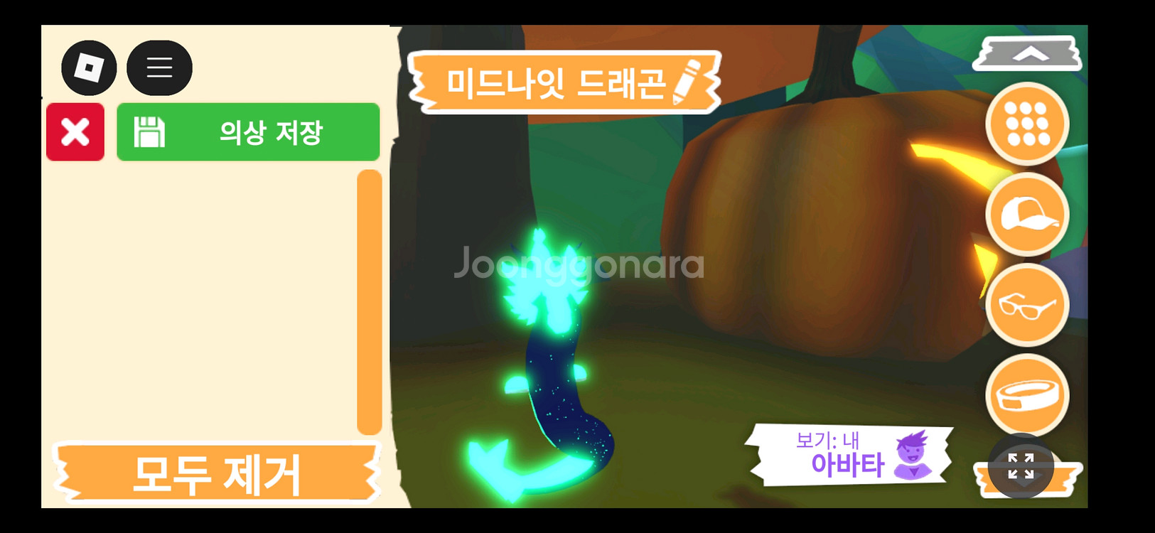 입양하세요 펫 메가네온 미드나잇 드래곤 판매합니다--4