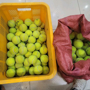 테니스공 대량 판매 스크래치용