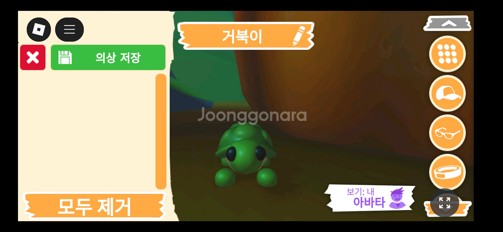 입양하세요 펫 거북이 판매합니다--0