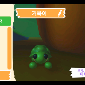 입양하세요 펫 거북이 판매합니다