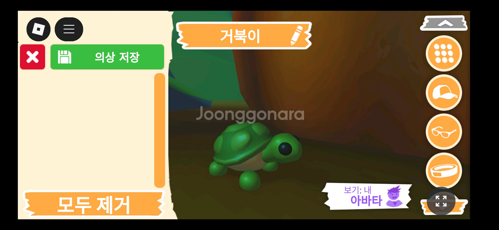 입양하세요 펫 거북이 판매합니다--1