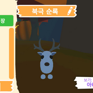 입양하세요 펫 북극 순록 (흰순)판매합니다