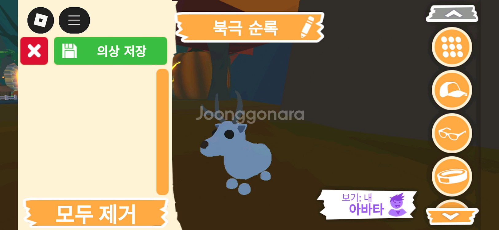 입양하세요 펫 북극 순록 (흰순)판매합니다--2