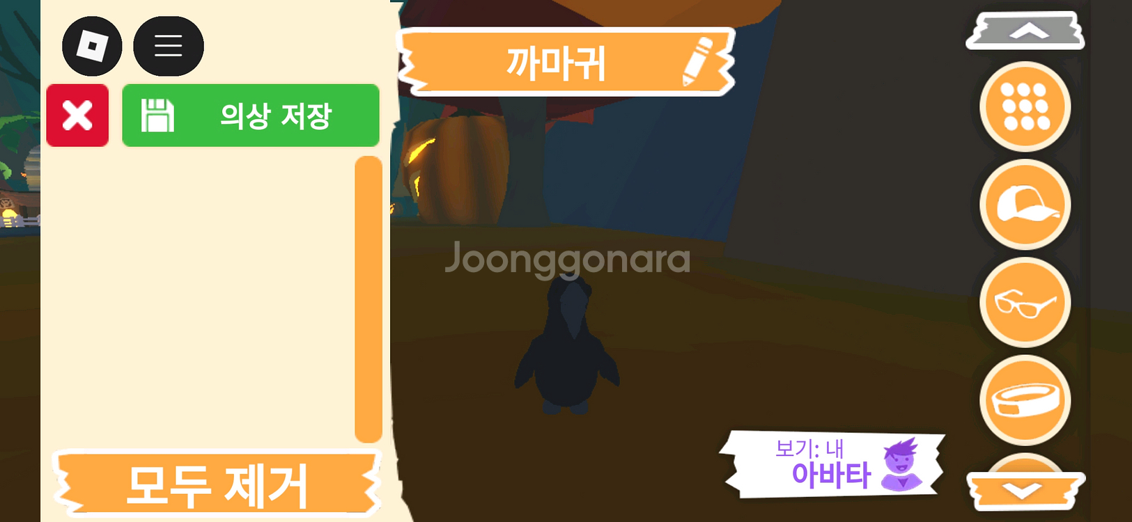 입양하세요 펫 까마귀 판매합니다--0