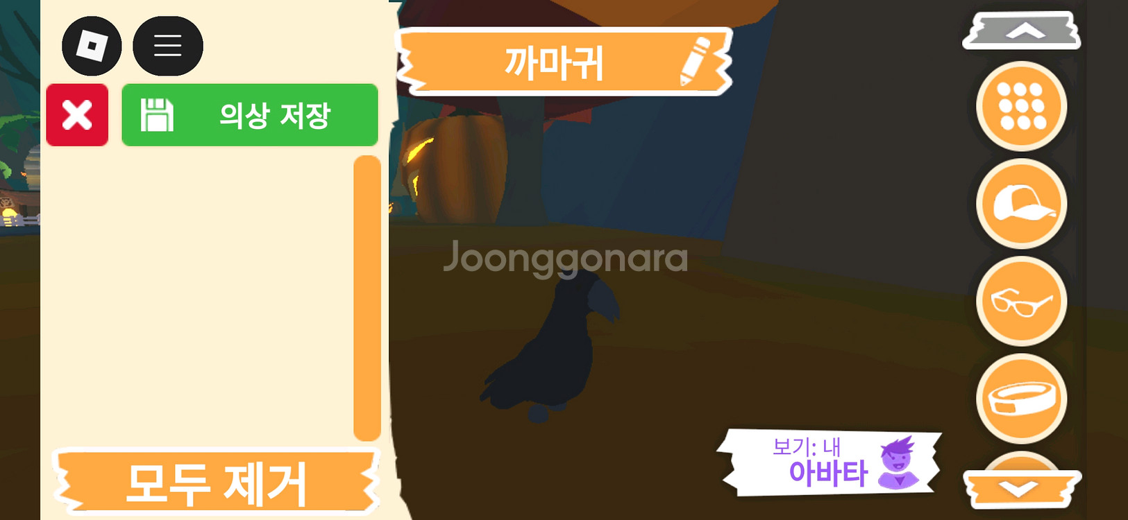 입양하세요 펫 까마귀 판매합니다--1