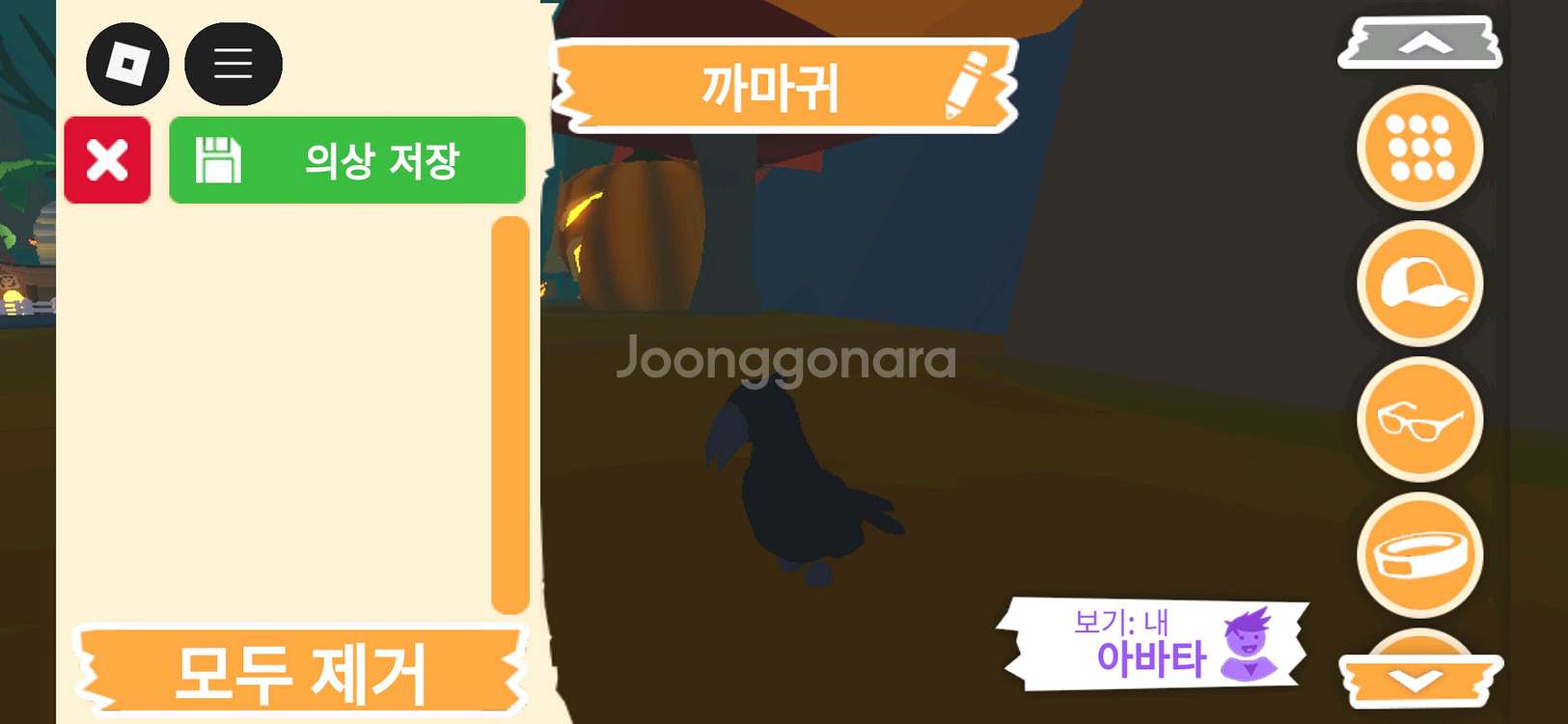 입양하세요 펫 까마귀 판매합니다--2