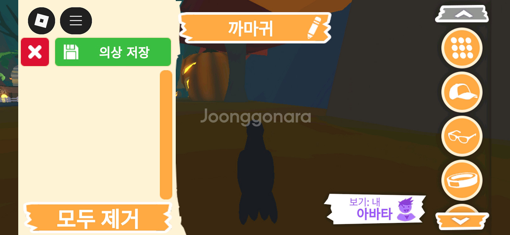 입양하세요 펫 까마귀 판매합니다--3