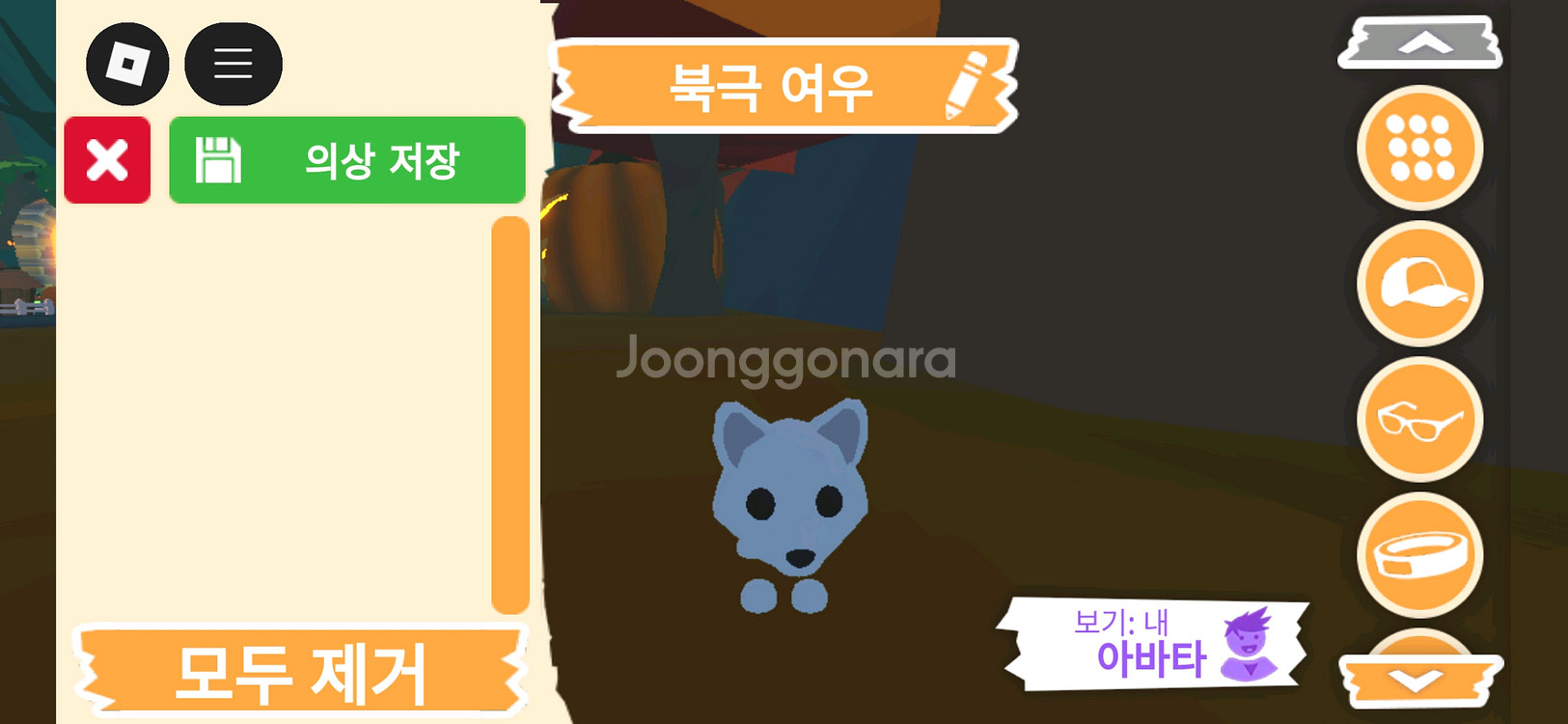 입양하세요 펫 북극 여우 (북여) 판매합니다--0