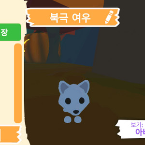 입양하세요 펫 북극 여우 (북여) 판매합니다