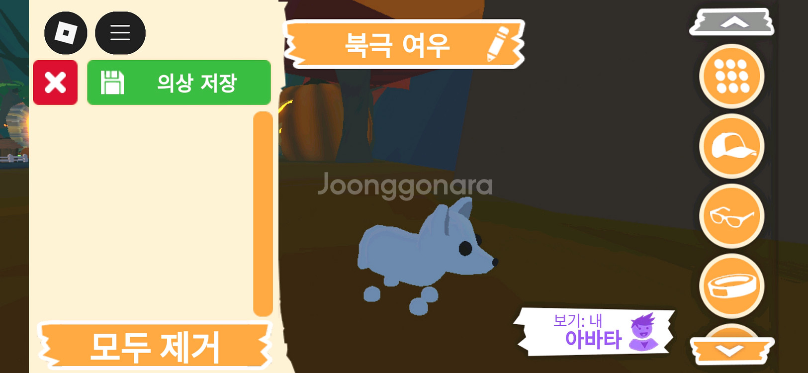 입양하세요 펫 북극 여우 (북여) 판매합니다--1