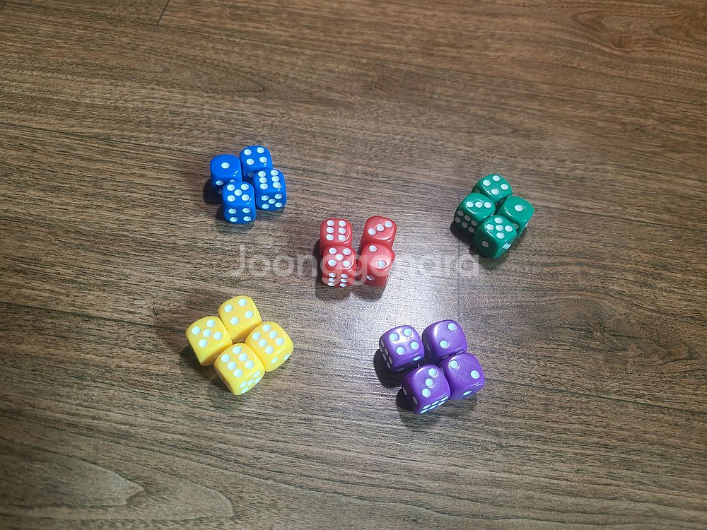 보드게임 주사위 택포--2