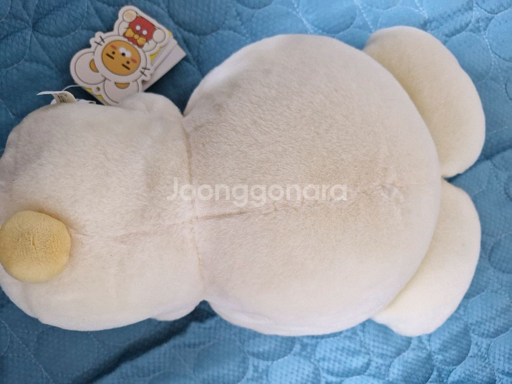 카카오프렌즈 2020복주머니치즈라이언--2