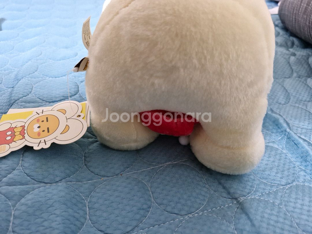 카카오프렌즈 2020복주머니치즈라이언--3