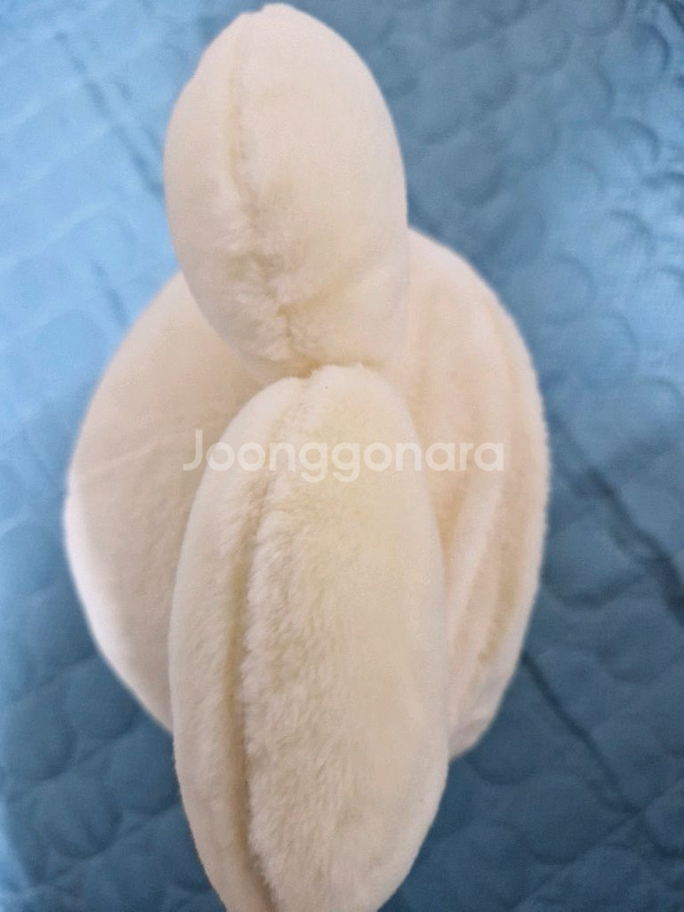 카카오프렌즈 2020복주머니치즈라이언--4