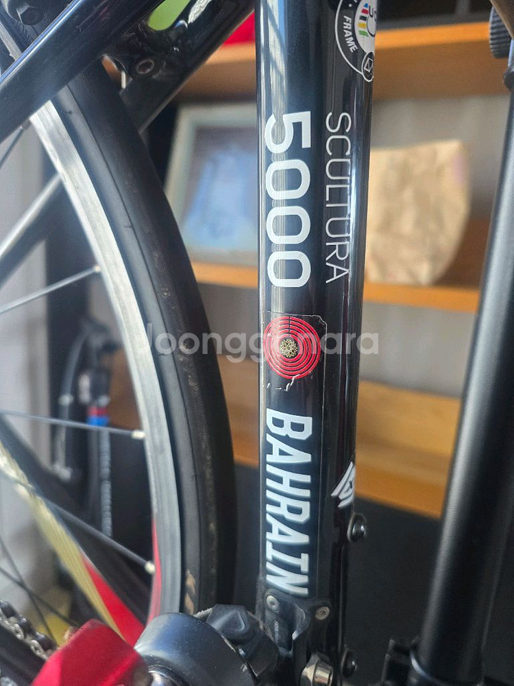 2019 메리다 스컬트라5000 바레인 xs 팝니다--4