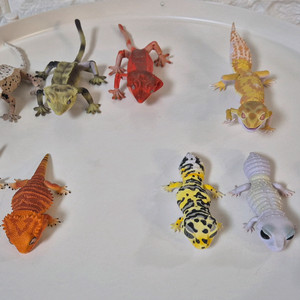 반다이 생물대도감 도마뱀 9종 판매합니다