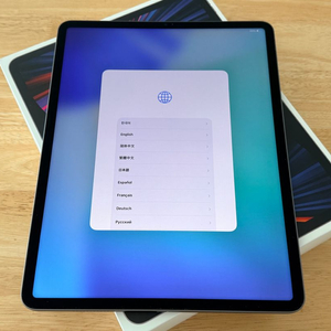 아이패드프로 12.9 5세대 256 wifi + 애플펜슬