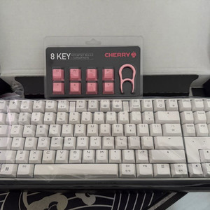 Cherry mx board 3.0s RGB TKL 체리 적축 키보드