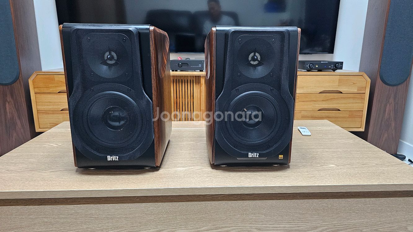 브리츠 BR 3000 프로 스탠드 포함--0