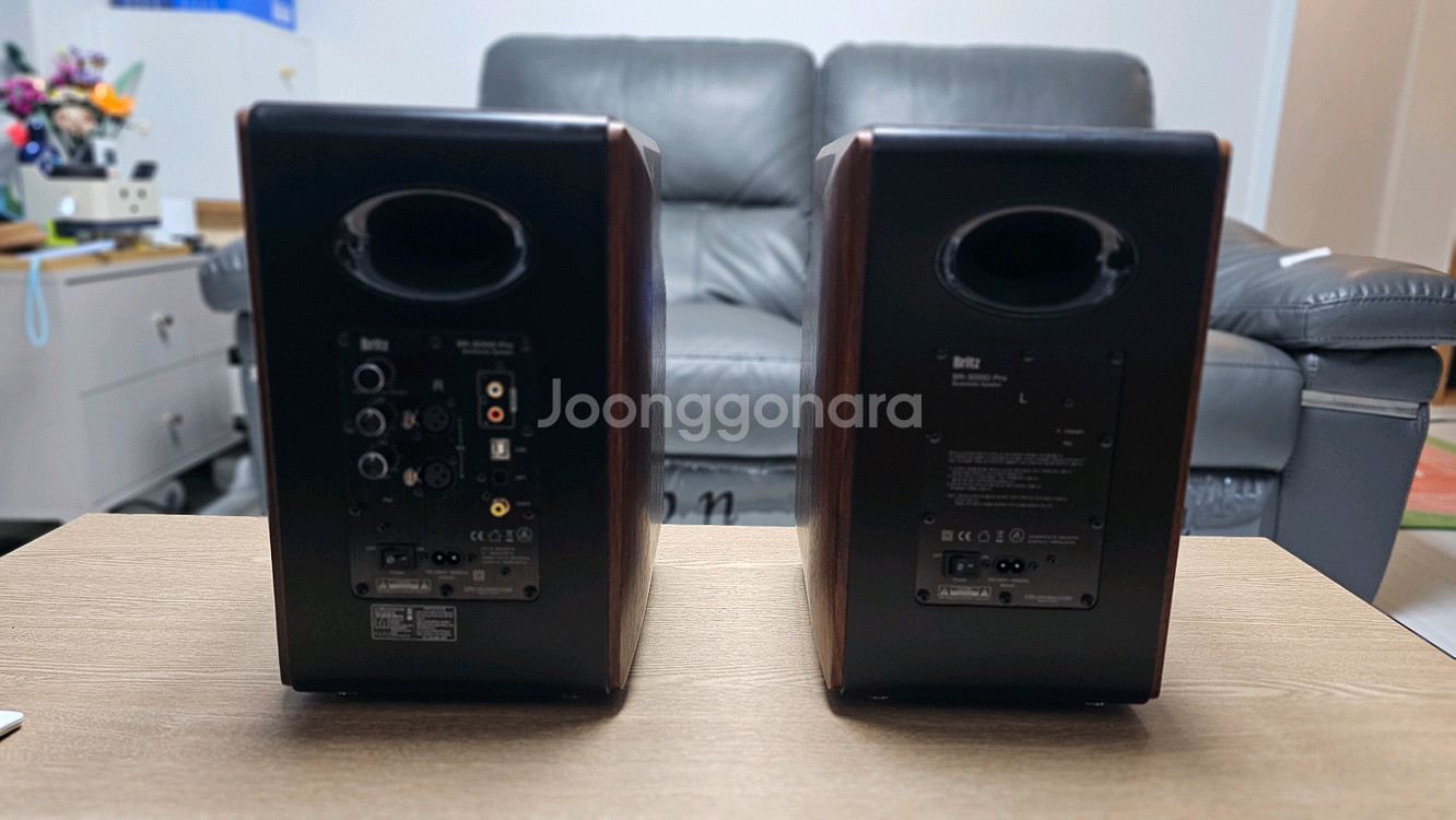 브리츠 BR 3000 프로 스탠드 포함--1