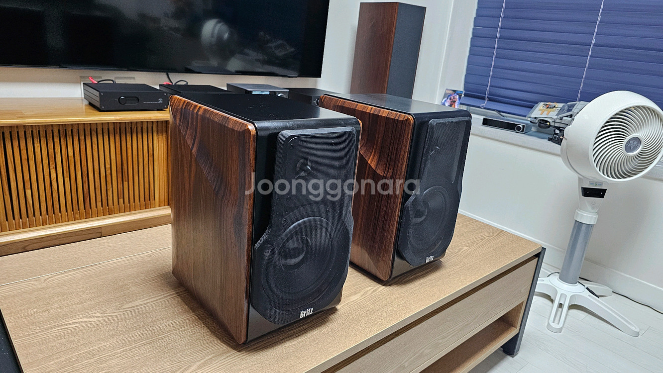 브리츠 BR 3000 프로 스탠드 포함--3