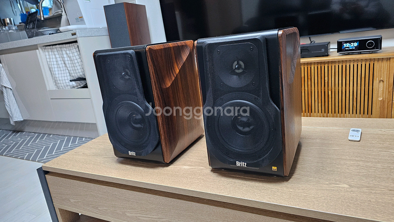 브리츠 BR 3000 프로 스탠드 포함--2