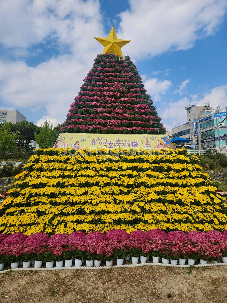 cgv 4d imax screenX sweet box--0