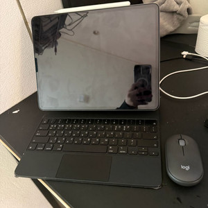 아이패드 프로 12.9 4세대 256wifi 풀세트