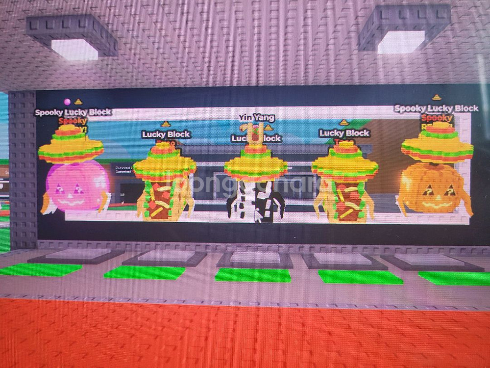 브레인롯 일괄판매 가격제시--0