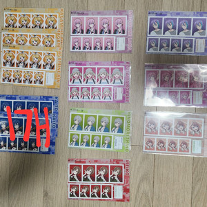 프로세카 증명사진