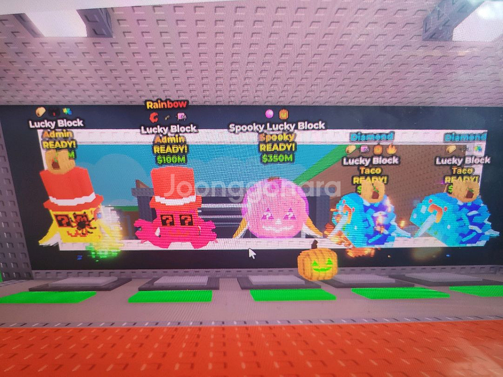 브레인롯 일괄판매 가격제시--1