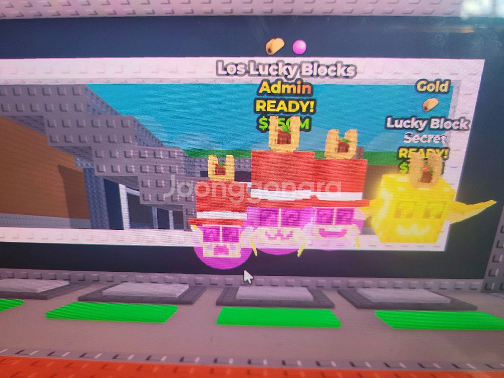 브레인롯 일괄판매 가격제시--0