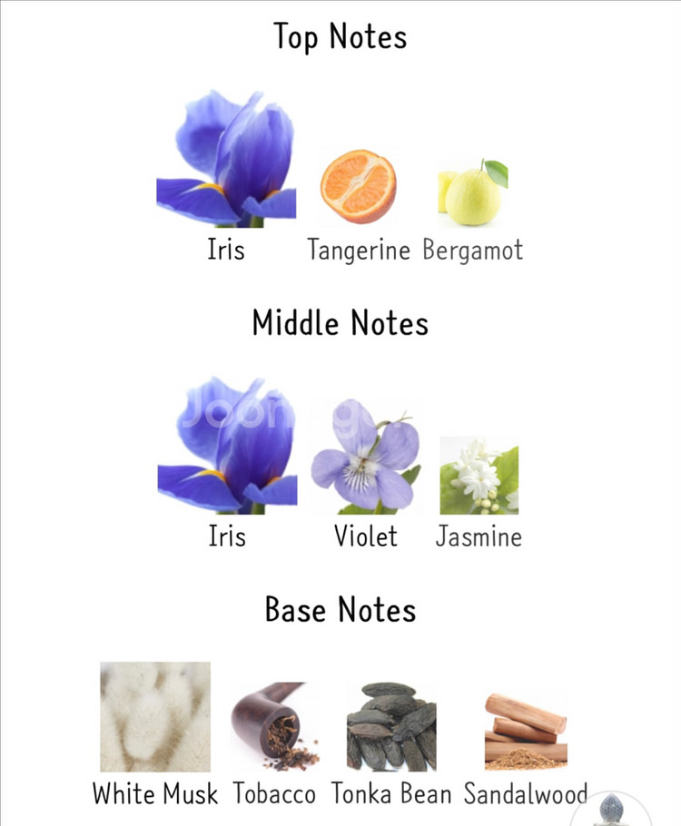 스테판움베르루카 판테아아이리스 향수--4