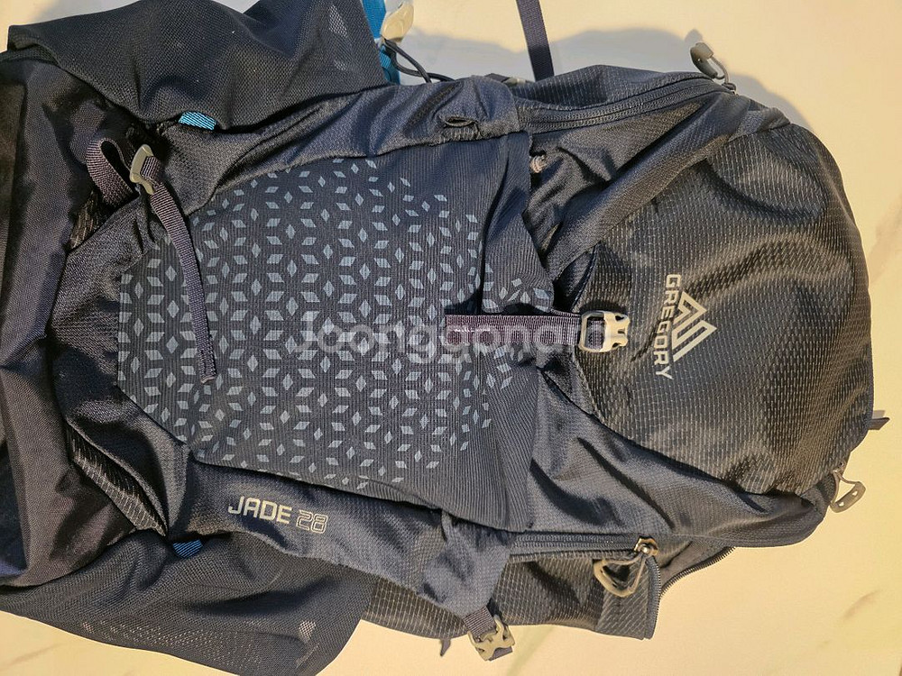 그레고리 제이드 28--0