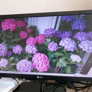 (급매) LG LED모니터 E2381VR-BN