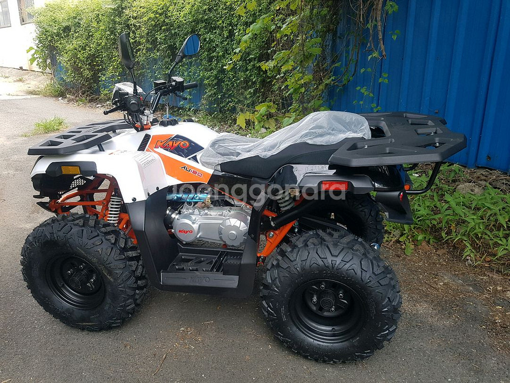 파워넘치는 사륜오토바이 카요 불180--2